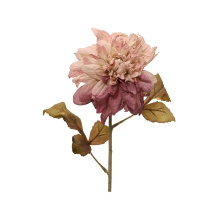 Dahlia Flower Pink on Stem, 75cm