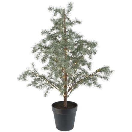 Mini Indoor Frosted LED Tree, 80cm