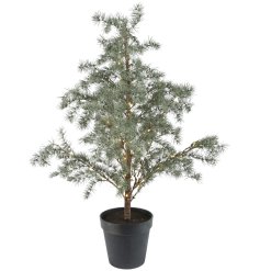 Frosted LED Indoor Frosted Mini Tree, 80cm