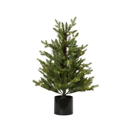 Indoor & Outdoor LED Allison Potted Tree, 120cm