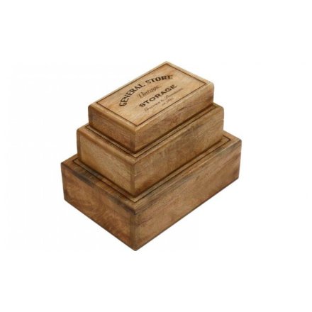 Set of 3 Gen Store Wooden Boxes with Lids