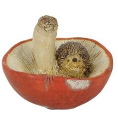 Hedgehog On Mushroom