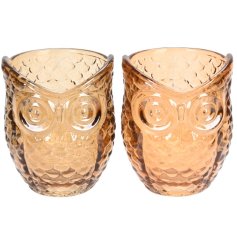 Bring out the woodland in your home with these stunning glass owl candle pot holder