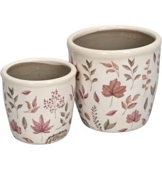 A gorgeous set of two planters each with subtle coloured leaf and stem designs.