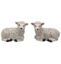 Add a touch of countryside charm to your dining table with our Sheep Salt & Pepper Set.