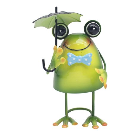 Bright Eyes Frog With Umbrella