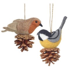 A mix of 2 felt bird decorations with pinecones and jute string hangers.