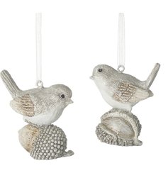 Bring a wintry charm to your space with our Birds On Acorns Hanger Mix.