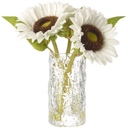 Vase & White Sunflowers, 23cm