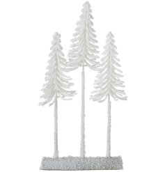 Introduce the enchanting Tall White Fir Trees to your home this holiday for a touch of nature's elegance.