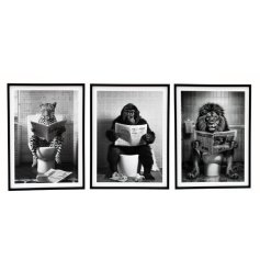 3 assorted animal wall canvas in monochrome, each sat on the toilet reading. 