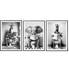 3 assorted prints featuring Safari animals sat on the toilet whilst reading a newspaper. 
