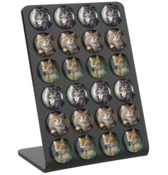 3/A Cat Fridge Magnet with Display, 5cm