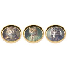 3/A Cat Head Jewellery Trinket Dish, 13cm