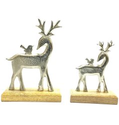 Gold Reindeer on Base Ornament, 17cm