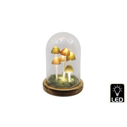  Small Led Mushroom Glass Globe, 16cm