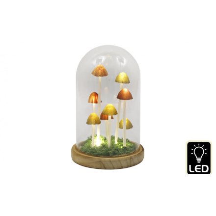 Led Mushroom Glass Globe, 22cm