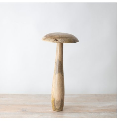 Transform your space into an enchanted woodland with this adorable mushroom decoration. Perfect for standalone display 