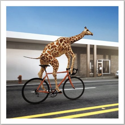 Daily Commute Giraffe Greetings Card, 16cm 
