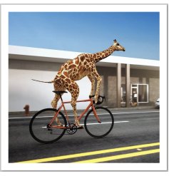 From Icons cool and quirky range, a photogenic giraffe riding a bicycle. 
