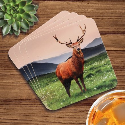 Set of 4 Stag Coasters, 11cm