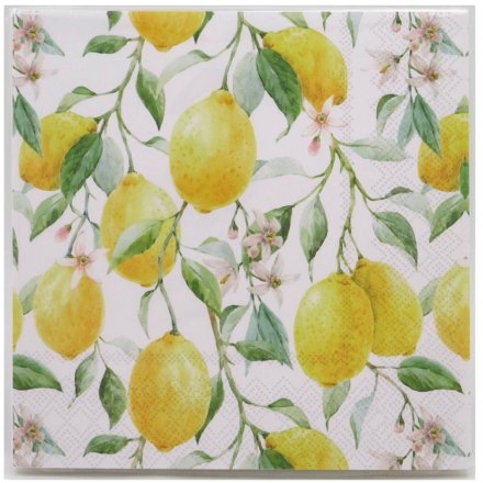 Pack of 20 Lemon Grove Napkins