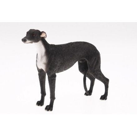 Black Greyhound Leonardo Figure Sml