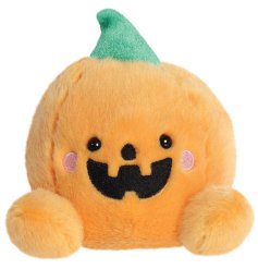 Cozy up with a pumpkin lantern toy from our cute Palm Pals collection.