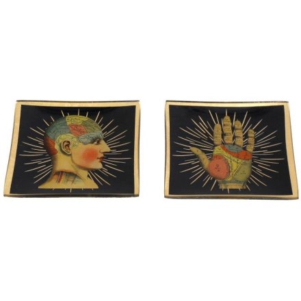 2A Phrenology Trinket Tray, 10cm