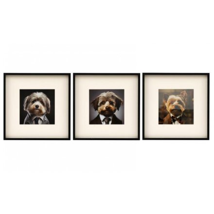 3/A Wall Art Fluffy Dog , 40cm 