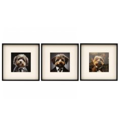 update your old wall art with these charming fluffy dog prints 