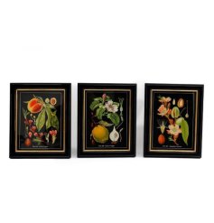 3 assorted vintage wall arts featuring fruit illustrations set on a black background. 