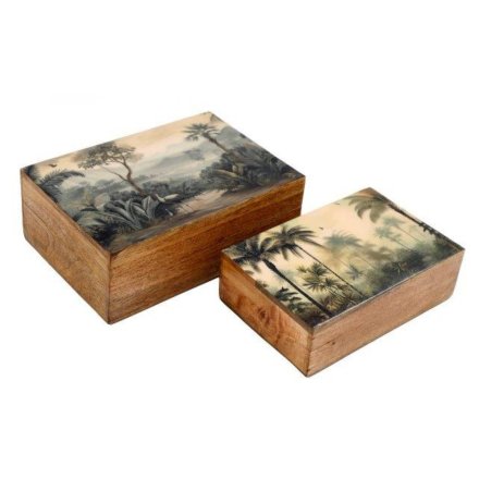 S/2 Sepia Palm Rectangle Box, 17.5cm