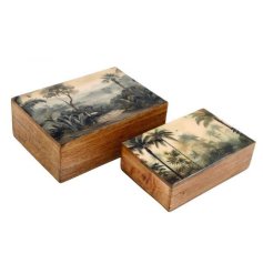 A gorgeous set of 2 wooden box each with enamel topped illustrations. 