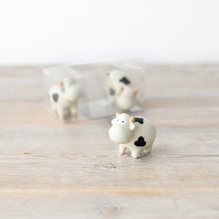 A cute little set of 3 miniature cows in different poses, packaged in a clear box for display.