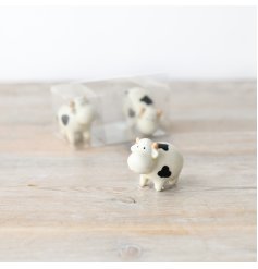 A cute little set of 3 miniature cows in different poses, packaged in a clear box for display.