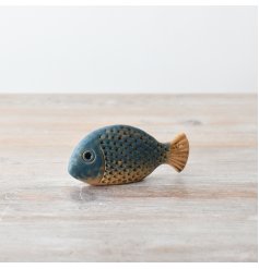 Welcome the stunning Speckled Blue fish to your aquatic family 