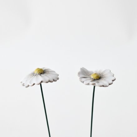 a beautiful daisy flower design garden stake perfect for all plants