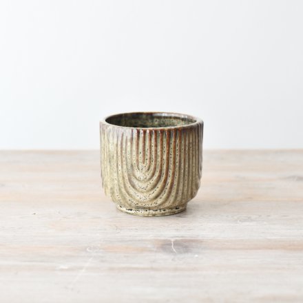 a stunning small plant pot perfect for indoors 