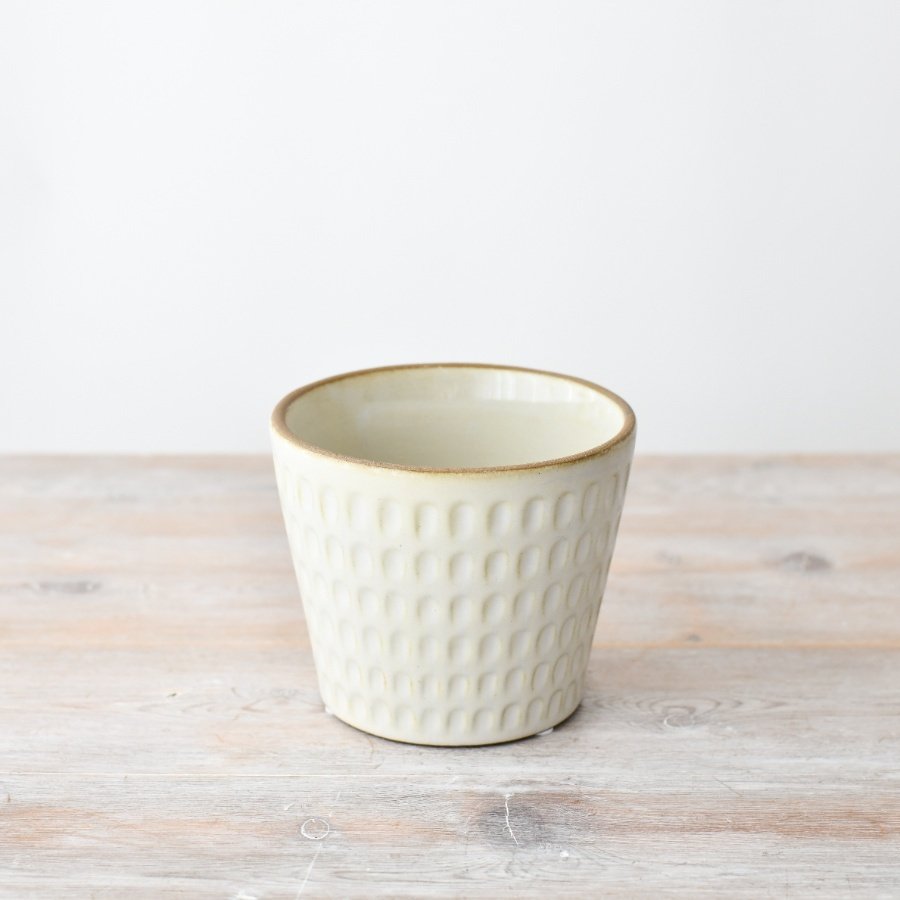 Get this stunning cream flower pot perfect for any household plants 