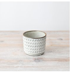 Add a touch of charm to your plant collection with this stylish flower pot 