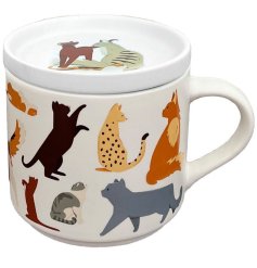 Celebrate your love for cats with our new Feline Fine porcelain mug set 