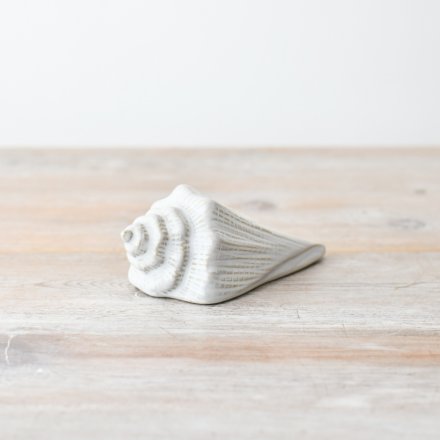 Sea Shell Ornament, 9.5cm 
