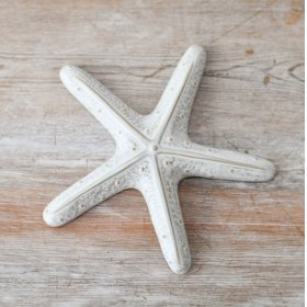 Transform your living space with our stunning starfish ornament, 