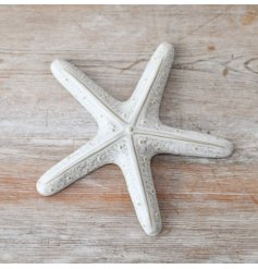 Bring the beauty of the ocean into your home with our exquisite starfish ornament,