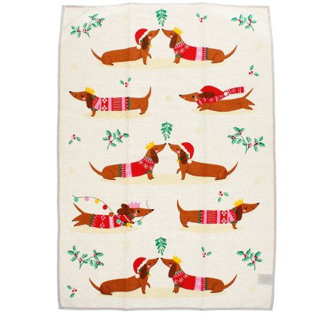 Get festive with this 100% cotton shirt printed with a charming holiday sausage dog. 