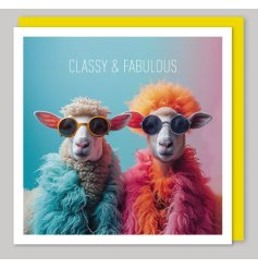 funny sheep wearing sun glasses greetings card