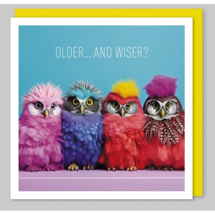 Older & Wiser Greetings Card, 16cm 