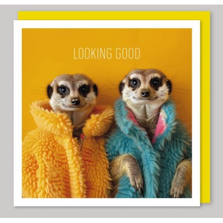 16cm Looking Good Meerkat Greetings Card