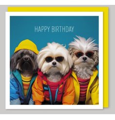 Celebrate with our Pawsome Happy Birthday Dog Greetings Card! Perfect for all birthday celebrations.